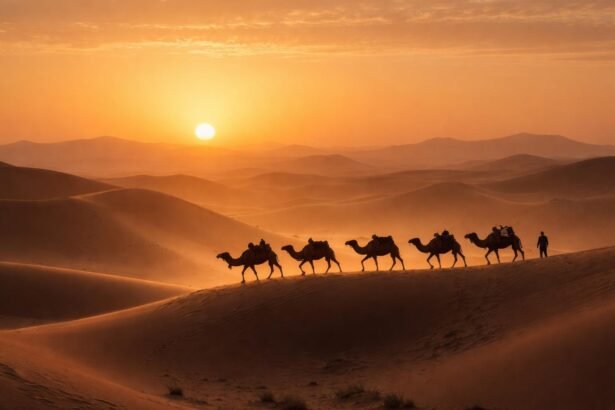 co-znamena-sen-o-tavej-karavane-615x410 Smartstats Home